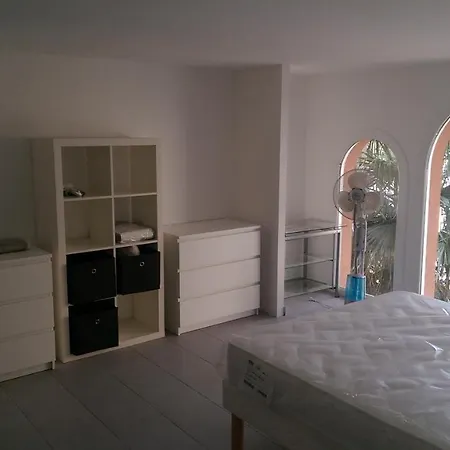 Grand T2 Cosy Sur Port De Porto-vecchio- Piscine